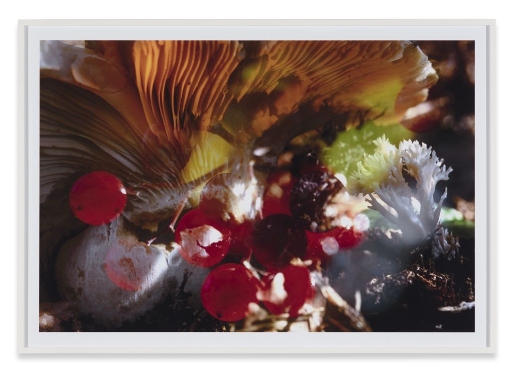 Peter Fischli David Weiss - Peter Fischli David Weiss - Cologne